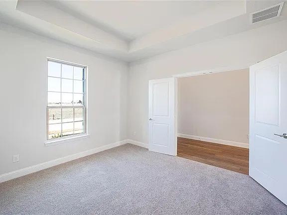 Carpeted flex room with tray ceiling and double doors